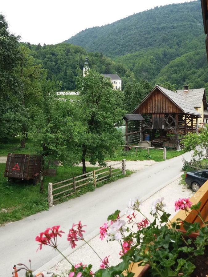 Apartma Momo Bohinj Luaran gambar